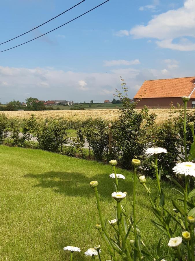 Vakantiehuis Zoetendaal Reningelst エクステリア 写真