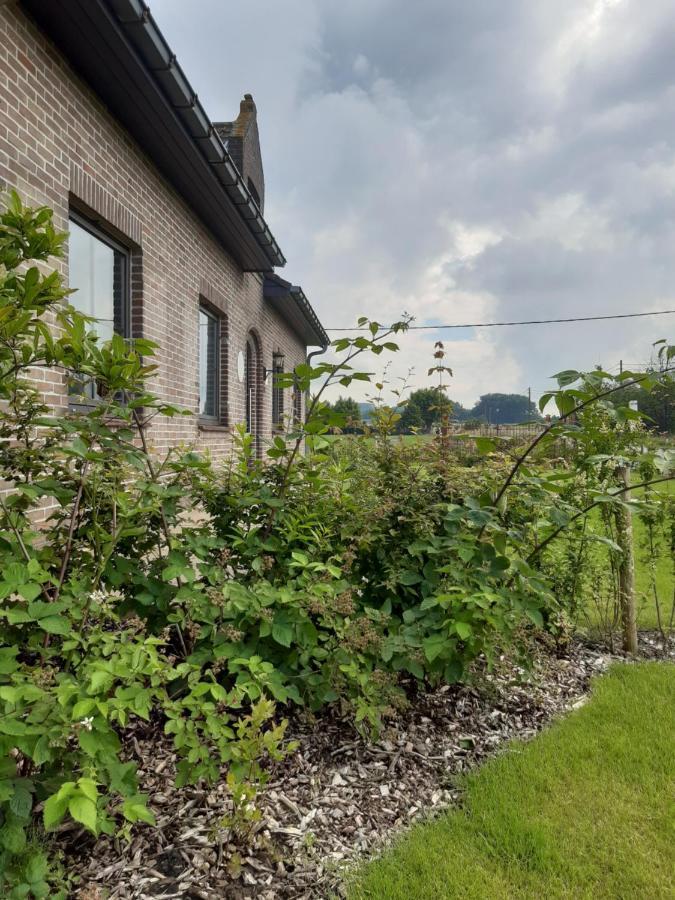 Vakantiehuis Zoetendaal Reningelst エクステリア 写真